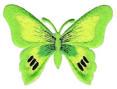 bg71★Schmetterling Grün Aufnäher aufbügeln Bügelbild Patch Flicken 7,7 x 5,6 cm