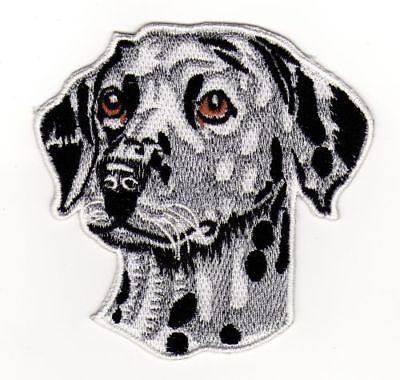 af65★Dog Gray Iron-On Patch Applique 8.5 x 8.5 cm