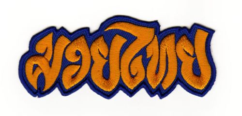 #ae32 Muay Thai Boxen Aufnäher MMA Kampfsport Applikation Bügelbild Patch Größe 9,8 x 4,0 cm